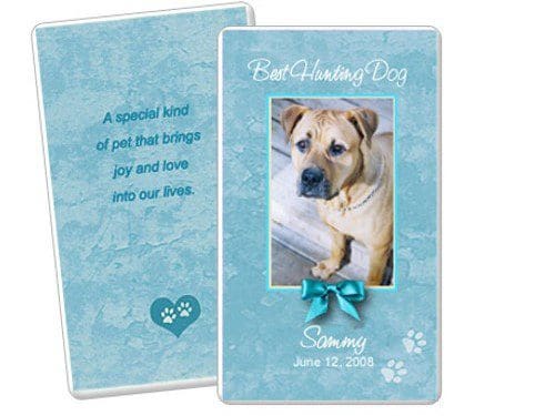 Teal_Pet_Memoria_4c9e9aed3910d